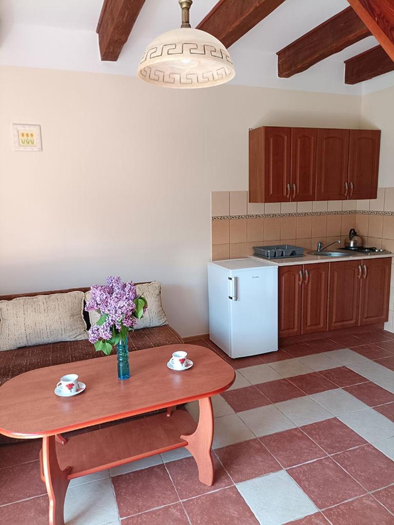 Apartamenty "Anusia" Ledzin Luaran gambar